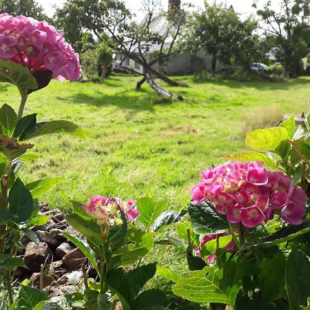 Terre De Reveries Maisoncelles-la-Jourdan Eksteriør billede