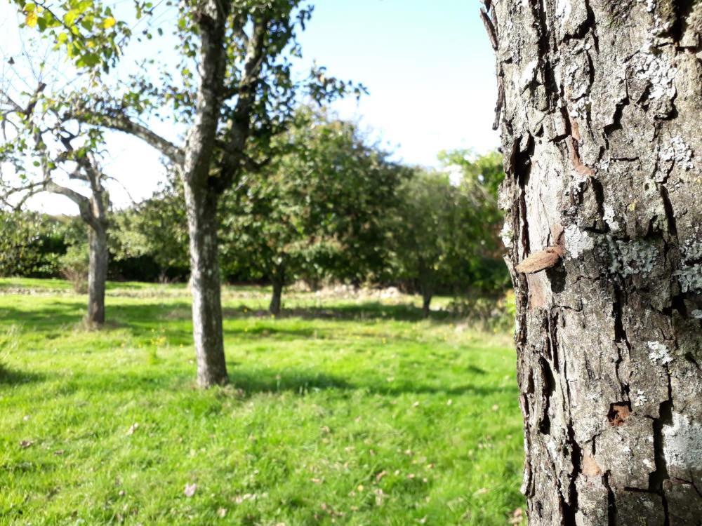 Terre De Reveries Maisoncelles-la-Jourdan Eksteriør billede