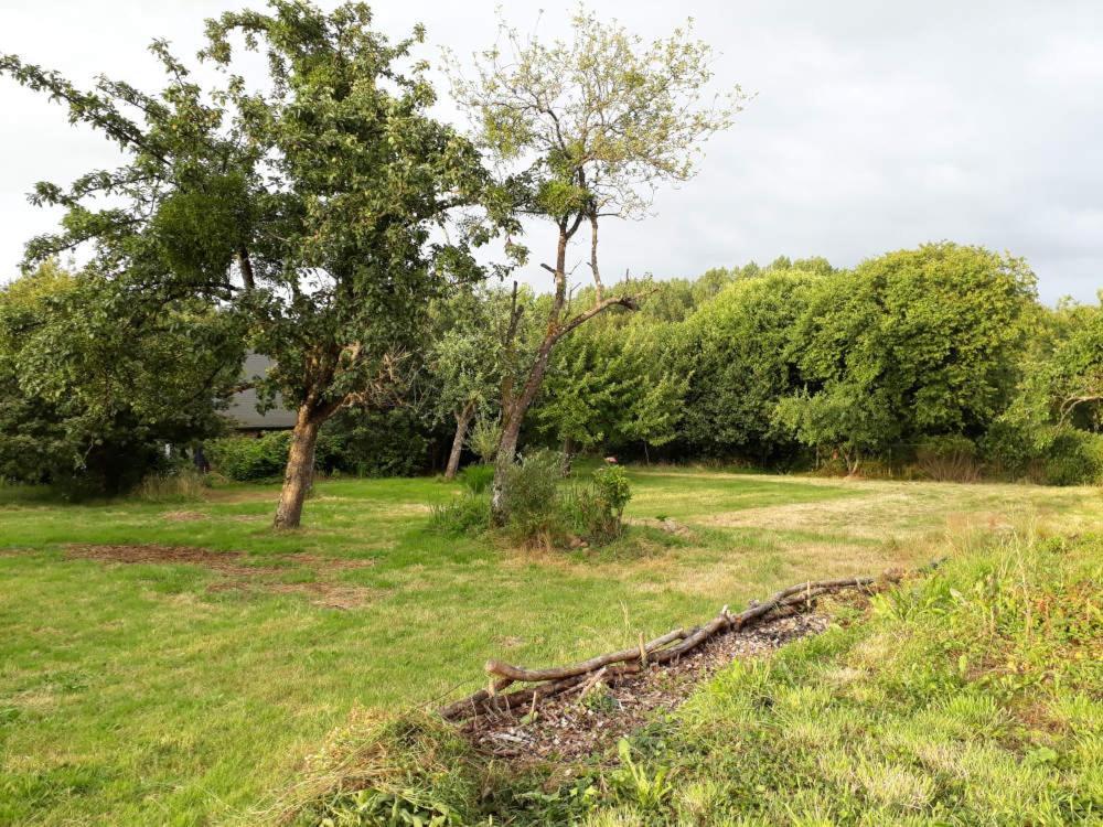 Terre De Reveries Maisoncelles-la-Jourdan Eksteriør billede